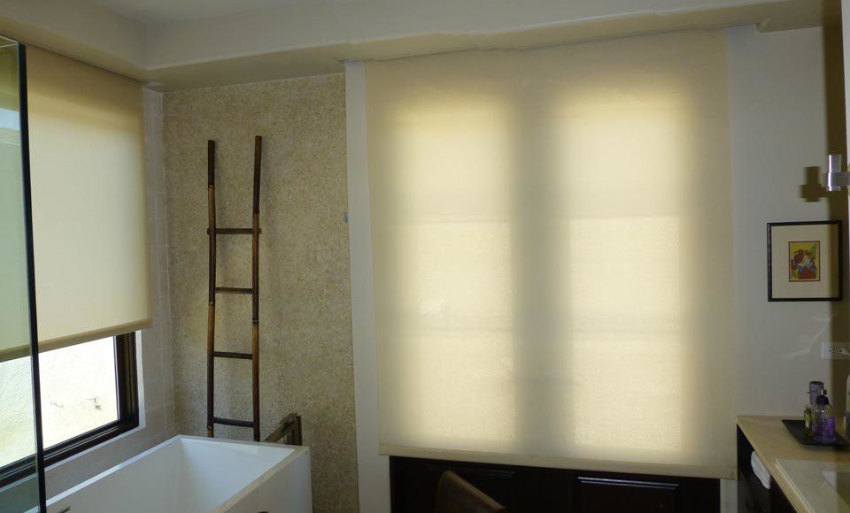 privacy roller shades