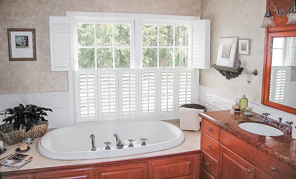 shutter - dual applications