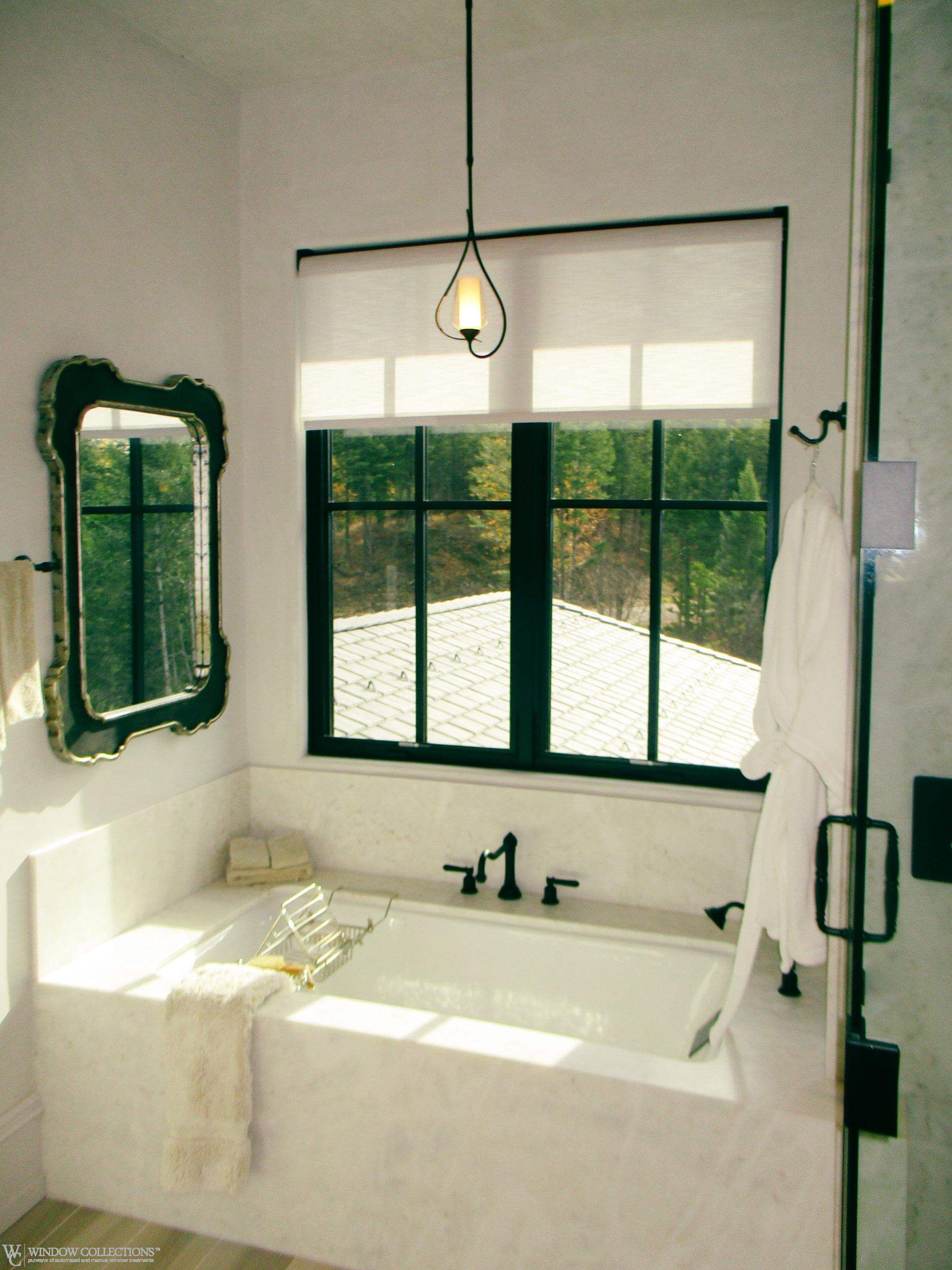 privacy roller shades